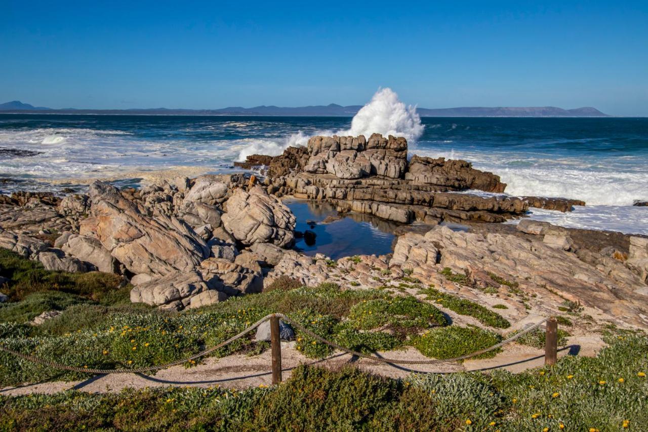 29@Whale Rock Estate Apartment Hermanus Ngoại thất bức ảnh